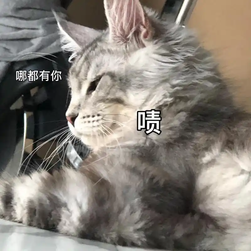 奶宝表情包大赏x19hhh.小表情这么多泰9315爱啦!手机-抖音