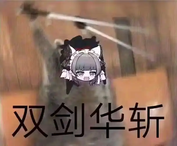 猪咪表情包(十三)