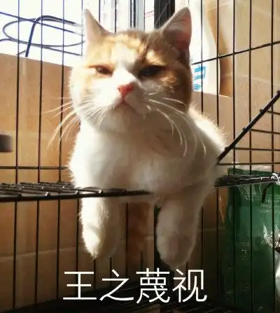 蔑视表情包