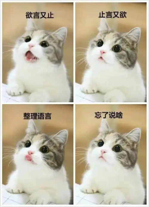 逃过父母催婚,却逃不过朋友