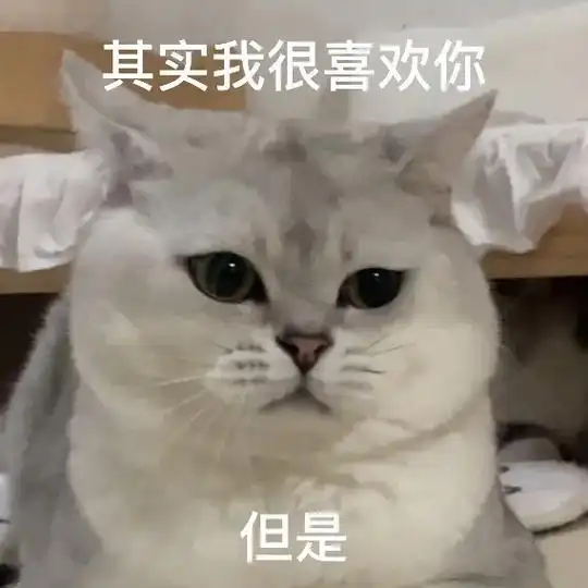 其实我很喜欢你但是#猫咪表情包#发给对象表情包#情侣-抖音