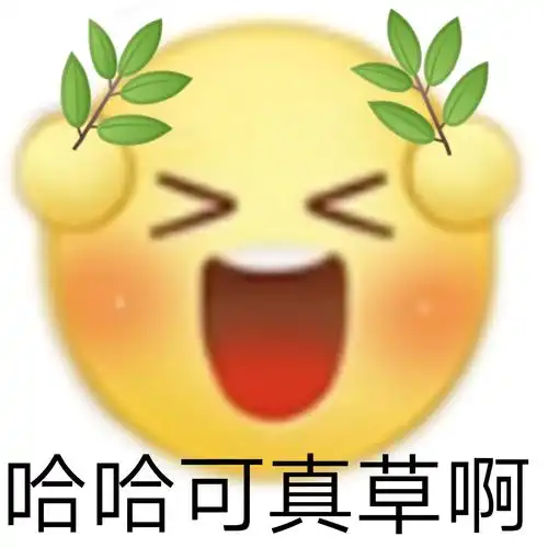 哈哈可真草啊-阴阳怪气小黄脸表情包_斗图表情