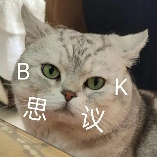 不可思议怎么会有这么可爱的修猫