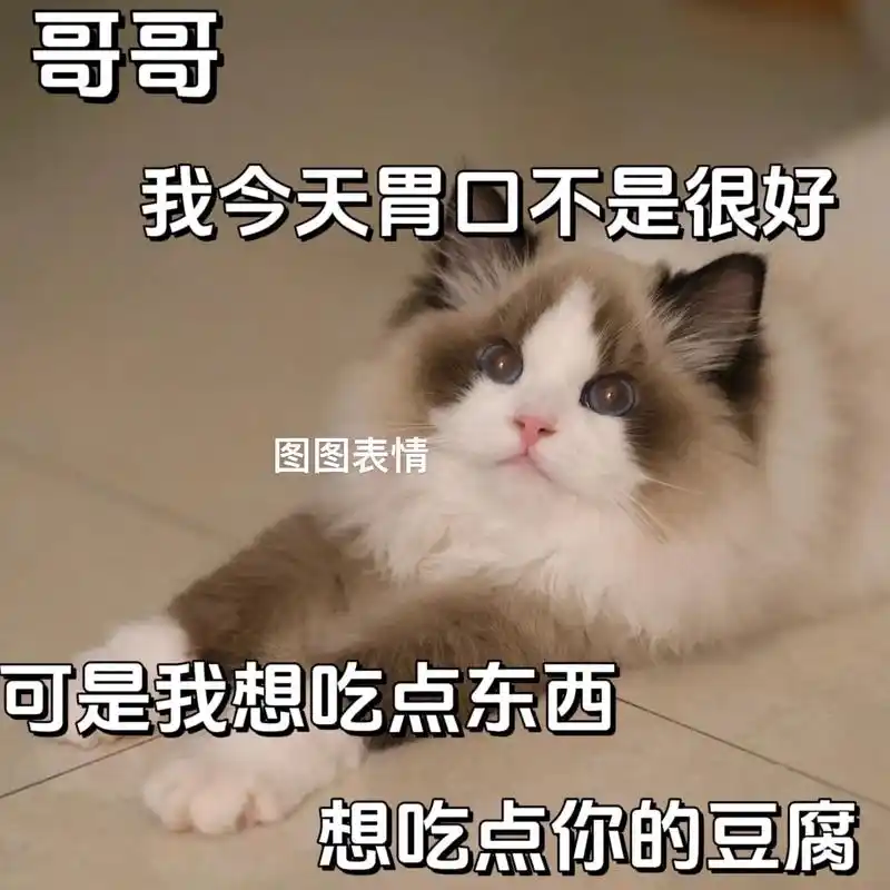 撒娇女人最好命,撩男盆友的表情包.#撒娇表情包#猫咪表情包-抖音