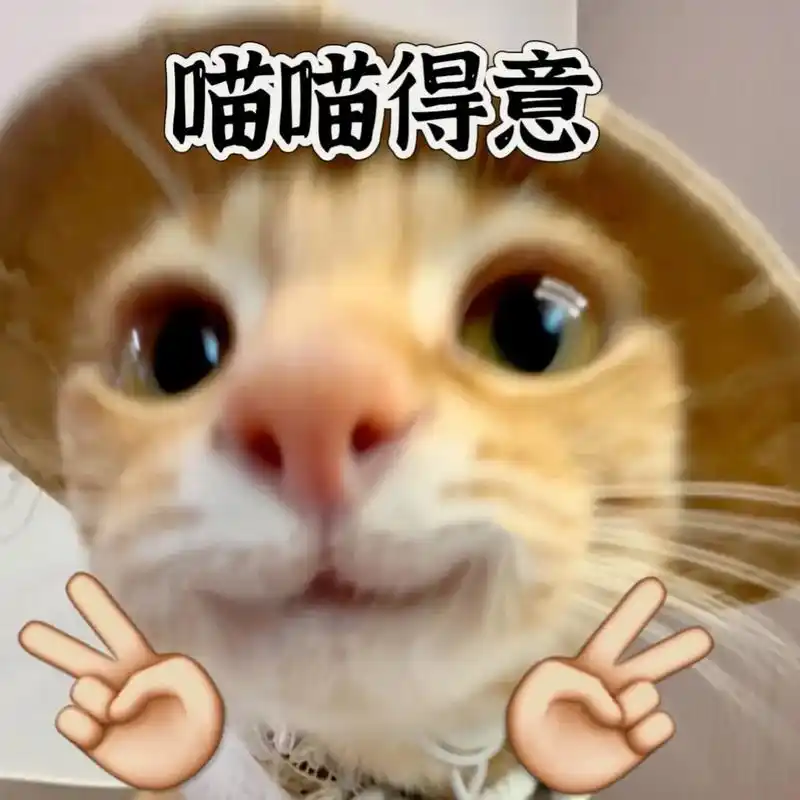 猫咪#小猫#橘猫#猫咪表情包-抖音