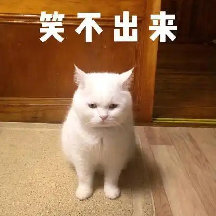 这个群还是你b话最熊猫头群聊表情包群聊熊猫还是这个表情