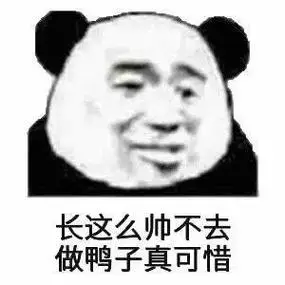 长这么帅不去做鸭子,真可惜_鸭子_可惜_这么表情