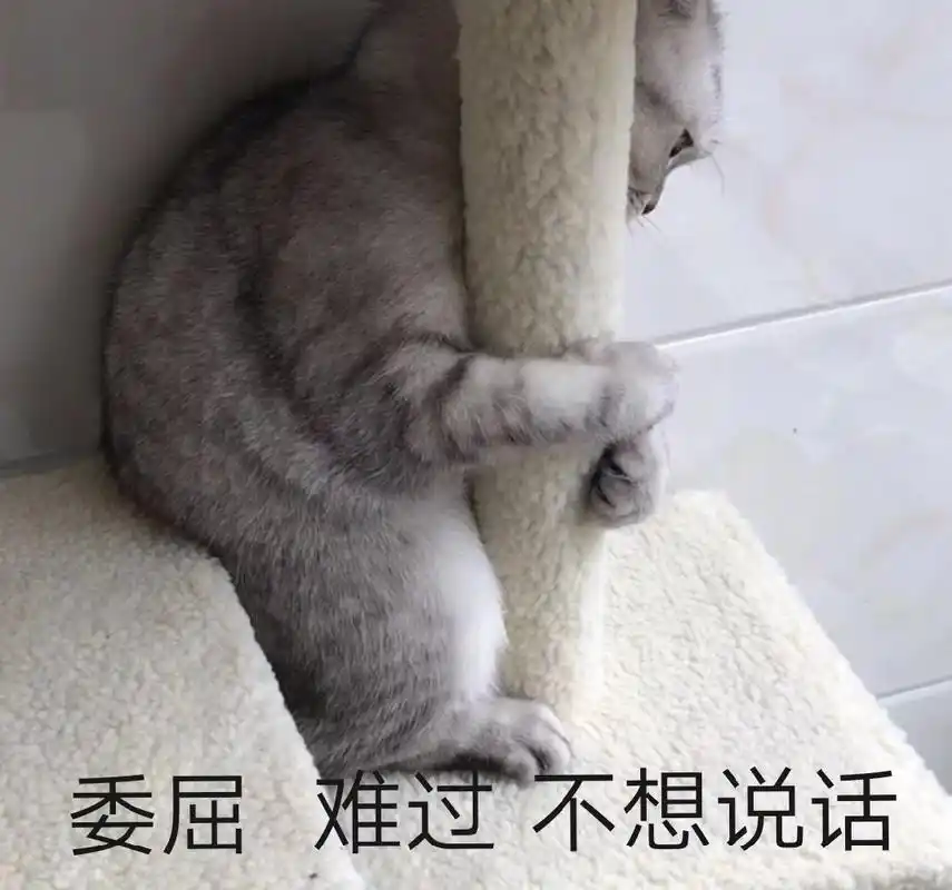 委屈难过不想说话猫咪猫咪委屈难过不想说话表情