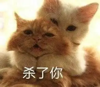 杀了你猫咪表情包_猫咪表情