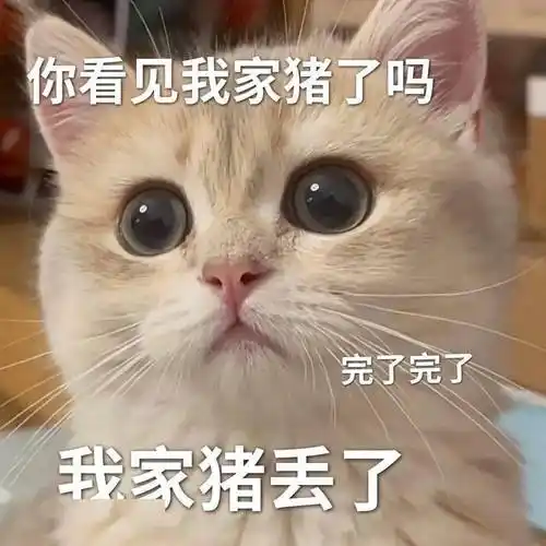 超撩人的猫咪情侣表情包勾引到我了!