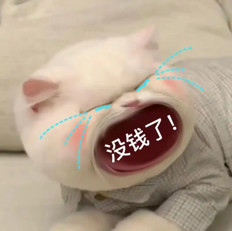 没钱了大嘴猫猫咪表情包