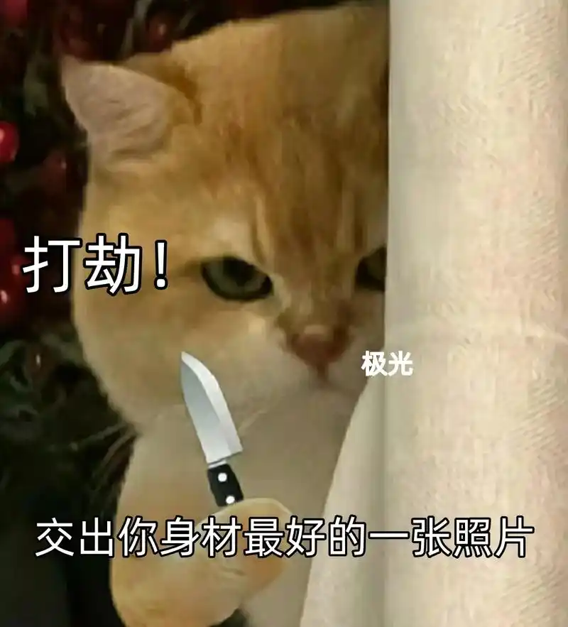 表情包#发给对象表情包#情侣日常#撩妹表情包#猫咪-抖音