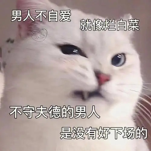 男人不自爱就像烂叶菜#猫咪表情包