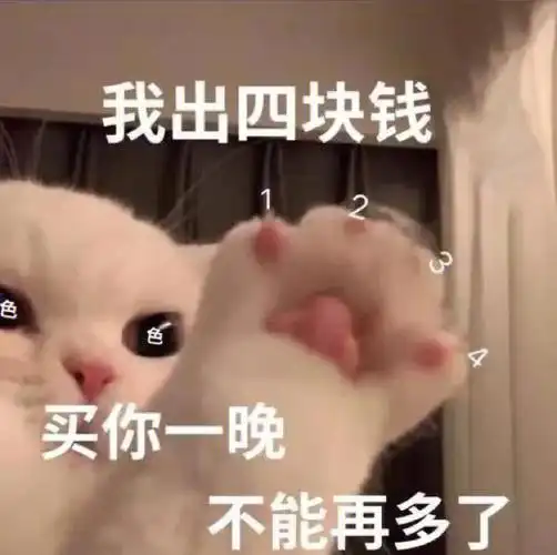 可爱猫咪表情包更新这事没5块钱办不了