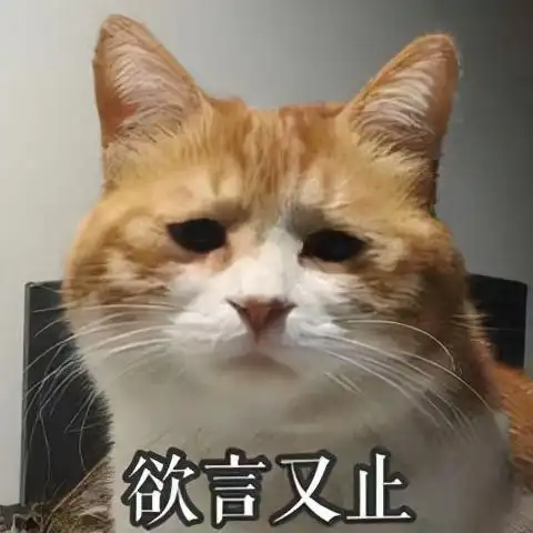 文章图片6