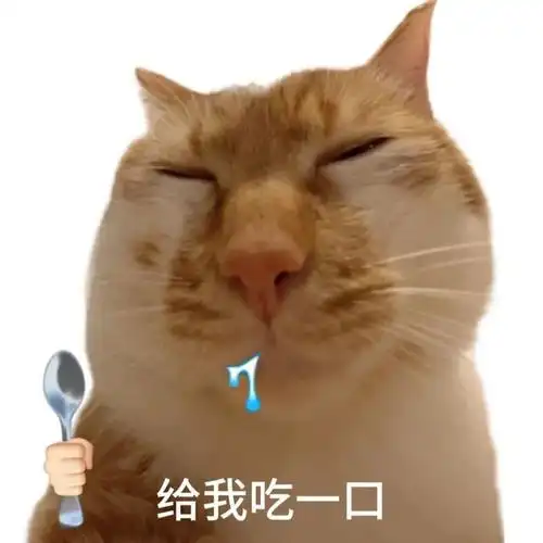 猫咪萌炸天!这批表情包为何让人欲罢不能?