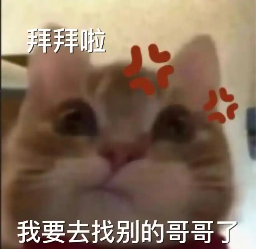 歪嘴小猫#猫咪表情包#发给对象表情包-抖音