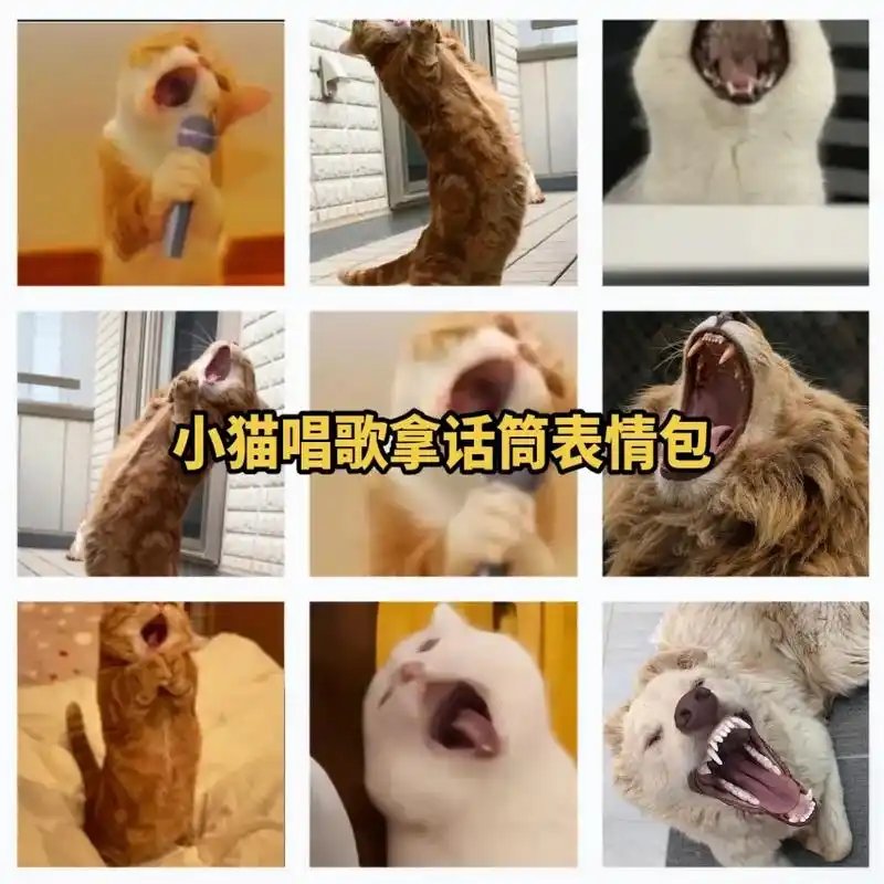 唱歌小猫表情包.小-抖音