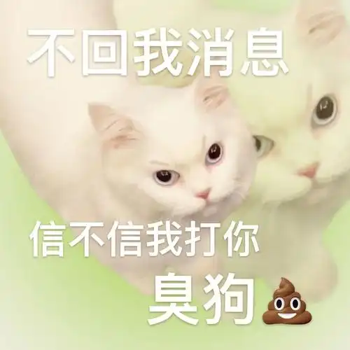 嗨害嗨发给你那不回消息的男朋友吧#猫咪表情包#猫咪#表情包