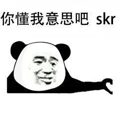 你懂我意思吧skr表情包-表情图