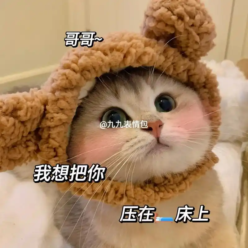 猫咪表情包#发给对象表情包#日常套路男友-抖音