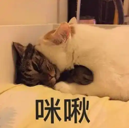 又甜又撩人的表情包!