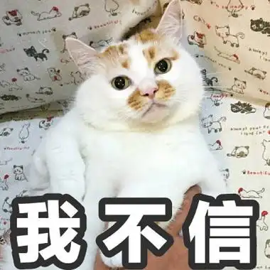 我不信