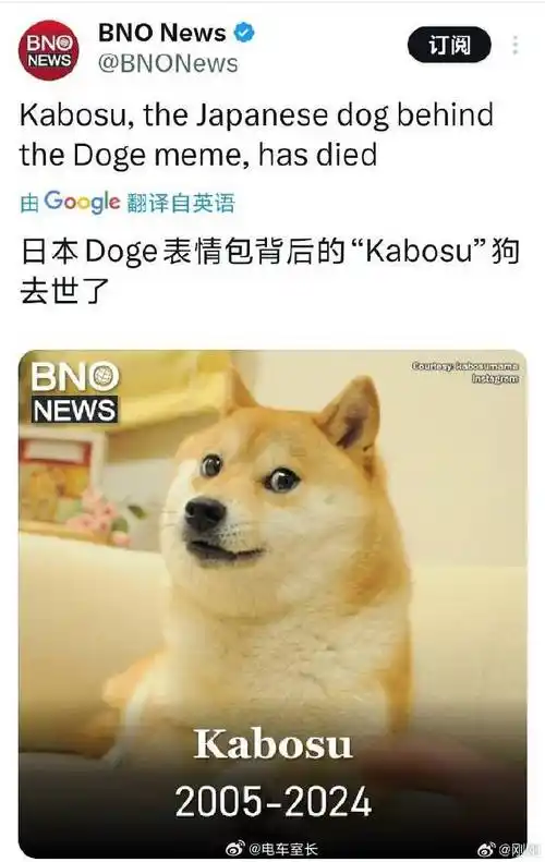 doge原型去世##doge表情包原型去世