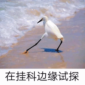 科目一科目四考试挂科?很可能就栽在这4道题上了!
