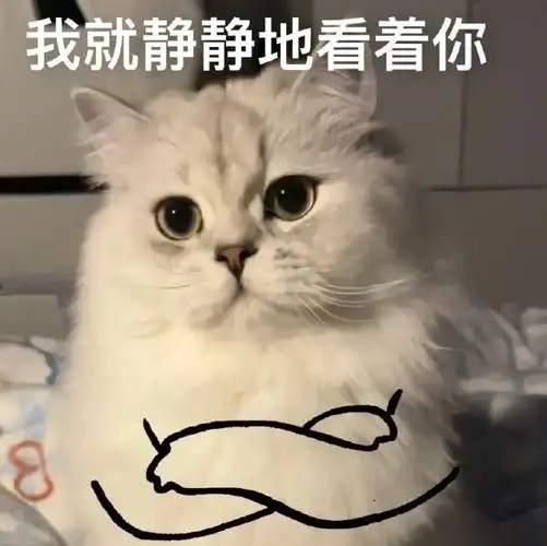 今日份表情包精选,拿图互动
