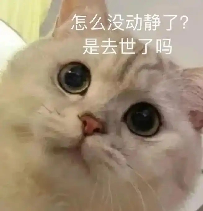 怎么聊着聊着就没动静了,没逝吧?#表情包#聊天表情包#-抖音