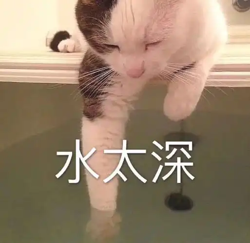 萌宠猫星人水太深试探呆萌可爱gif动图_动态图_表情包下载_soogif