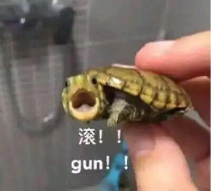 滚!gun!(乌龟呐喊)_gun_乌龟_呐喊表情