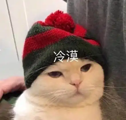 冷漠猫咪猫咪冷漠表情