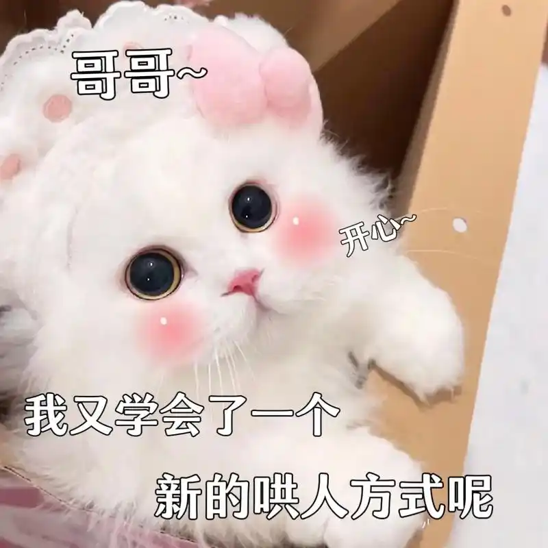 发给对象表情包#猫咪表情包#表-抖音