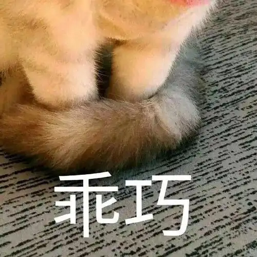 萌宠猫星人猫爪乖巧呆萌可爱gif动图_动态图_表情包下载_soogif