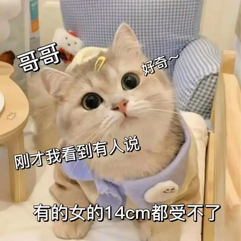 其实18cm的也不算长嘛,怎么就受不了了呢?#猫咪表情包#表情包