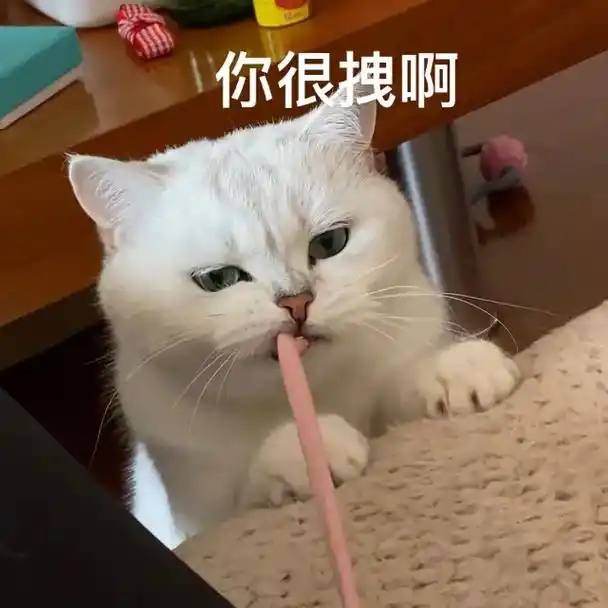 喂你很拽吗?#抖音图文来了#猫咪-抖音