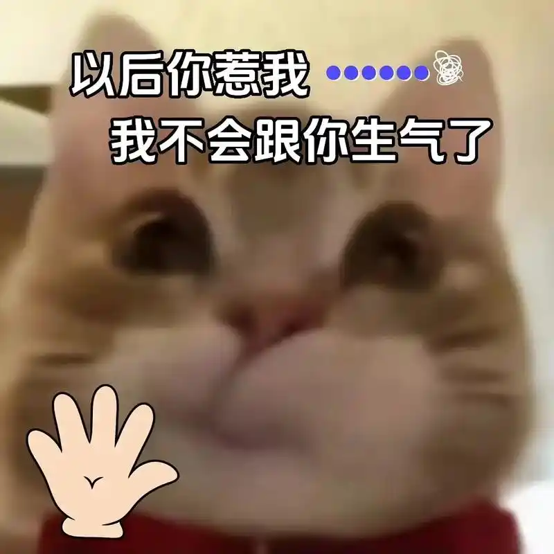 歪嘴小猫表情包.#表情包#发给对象表情包#每帧都是表情-抖音