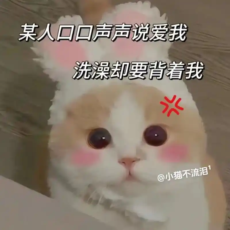 某人口口声声说爱我,洗澡却要背着我.#表情包#猫咪表情包-抖音