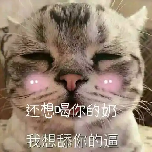 萌萌的猫咪想喝你的奶我想舔你的逼搞笑可爱gif动图_动态图_表情包