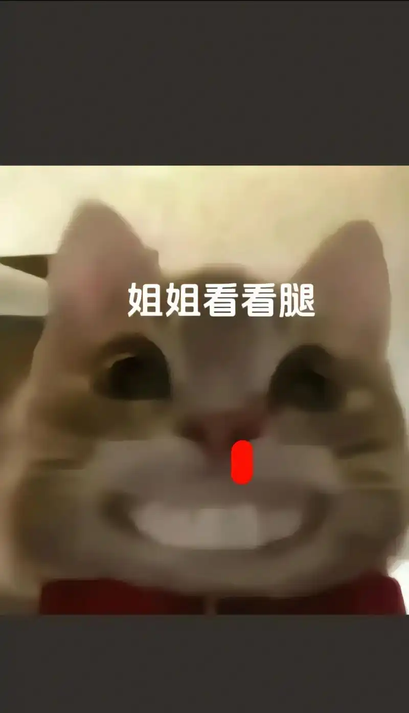 姐姐,姐姐,姐姐?#正经人#猫咪表情包#快点救救孩子吧-抖音