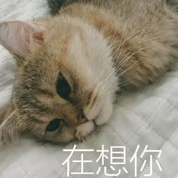 萌宠猫星人在想你难受呆萌可爱gif动图_动态图_表情包下载_soogif