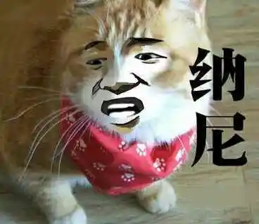 纳尼(小猫)_纳尼_小猫表情