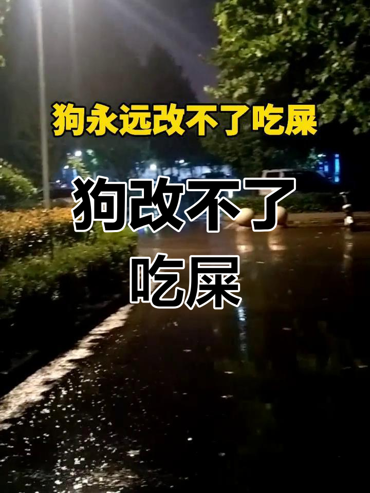 有些人改不掉的坏习惯,就像狗吃屎一样