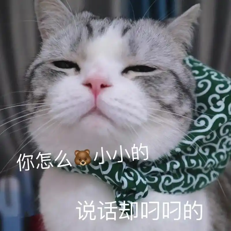 你凶什么凶,哼#猫咪表情包#猫咪#表情包-抖音