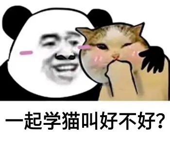 猫叫_好不好_一起表情