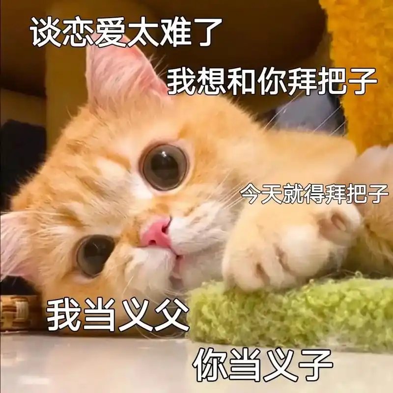 谈恋爱太难了,我们当兄弟好了#表情包#图文来了#猫咪表情包-抖音