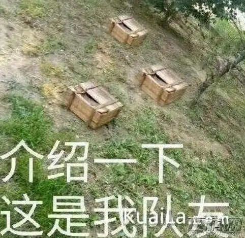 绝地求生大逃杀落地成盒是什么意思落地成盒是什么梗