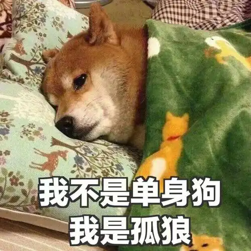 今天又是单身狗